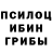 Галлюциногенные грибы Magic Shrooms Kim_yona